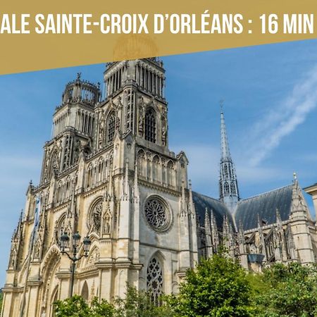 Le St Paterne, Hyper Centre, 3 Chambres Tt Confort Orléans Exteriér fotografie